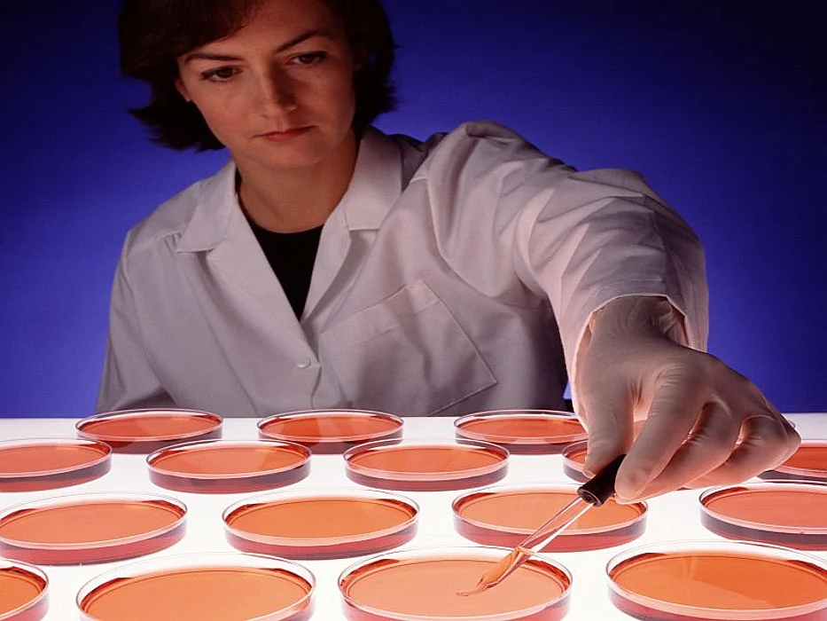 petri dishes