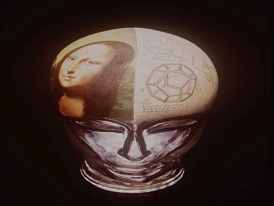 human brain