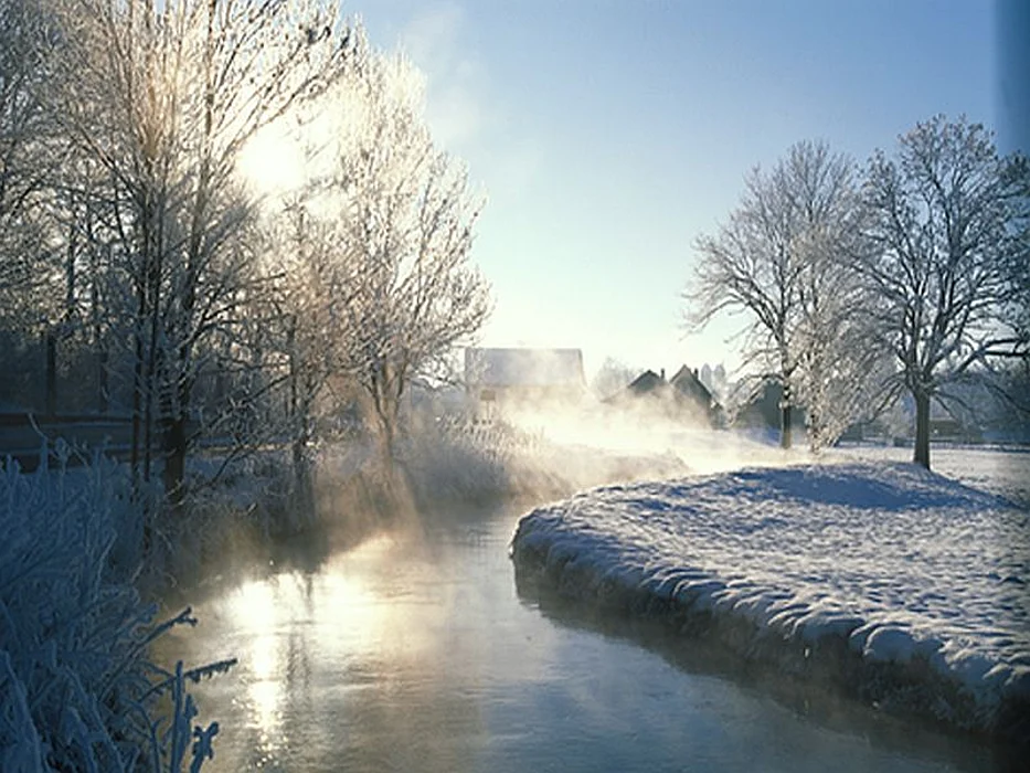 winter landscape