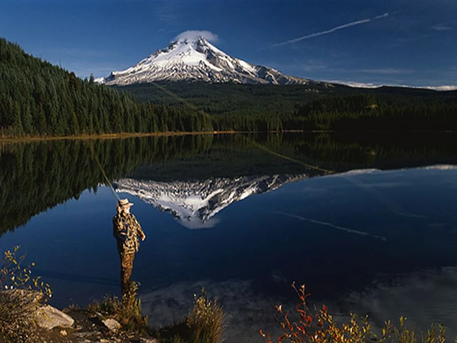 mountain view