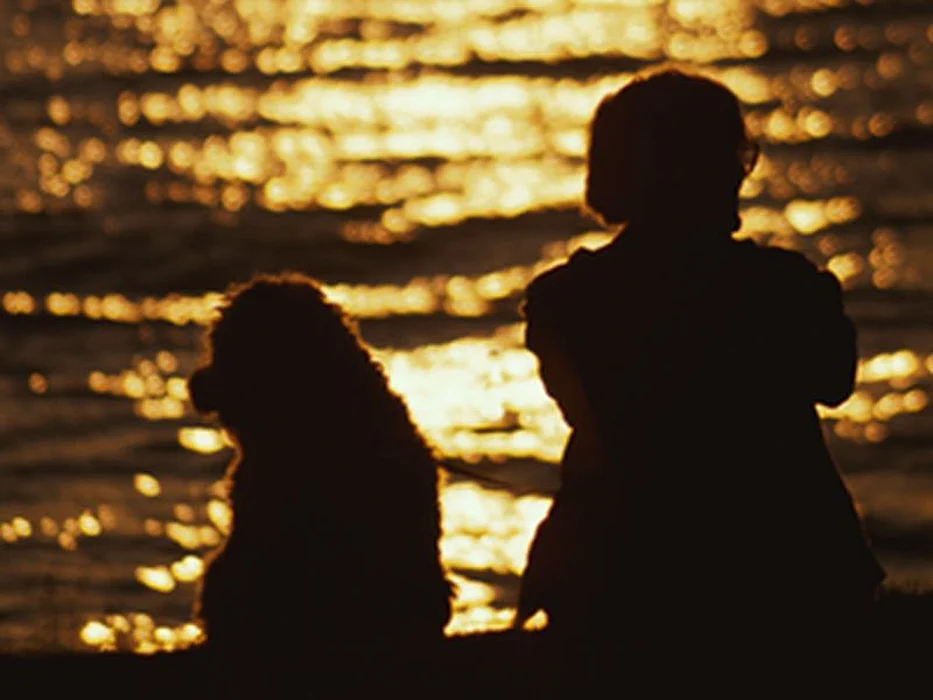 sunset at the lake
