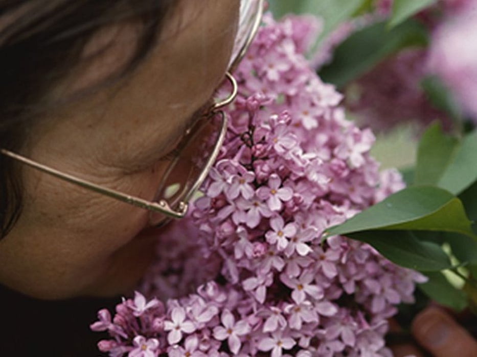 woman smelling flower