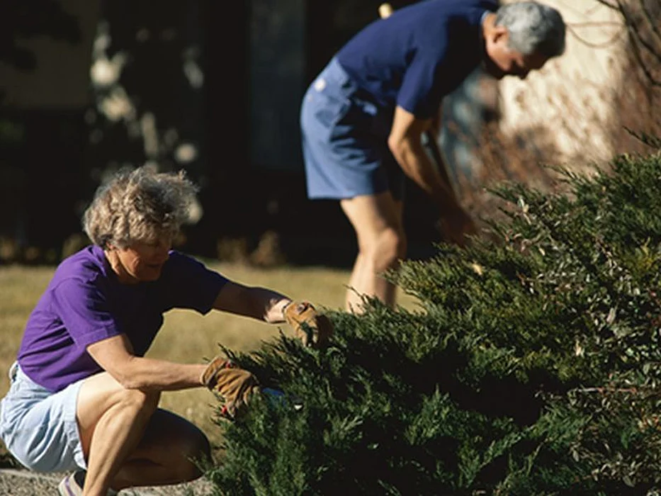couple gardening