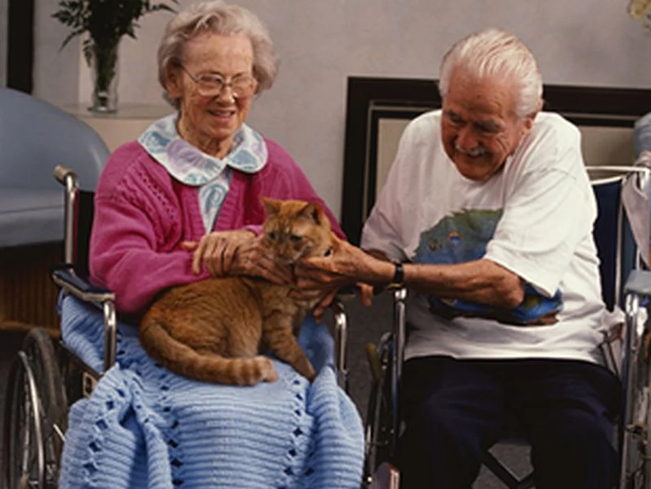 elderly couple