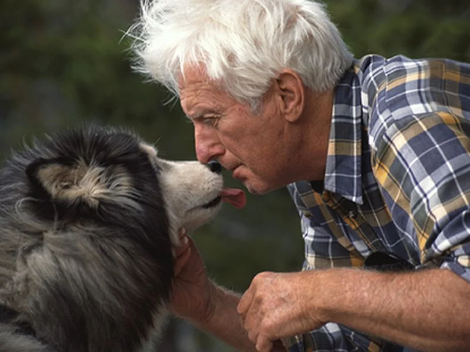 man kissing dog