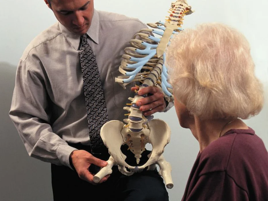 skeleton bones