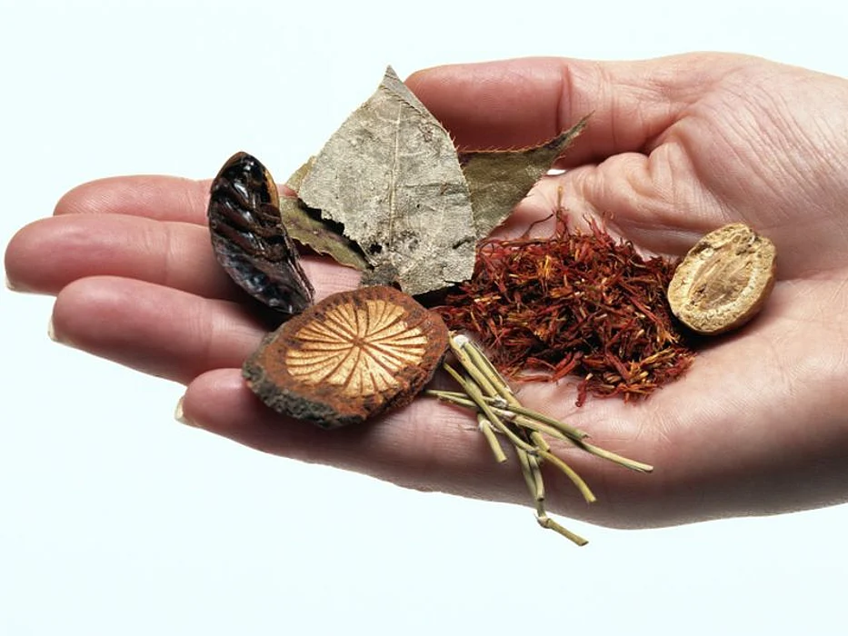 herbs