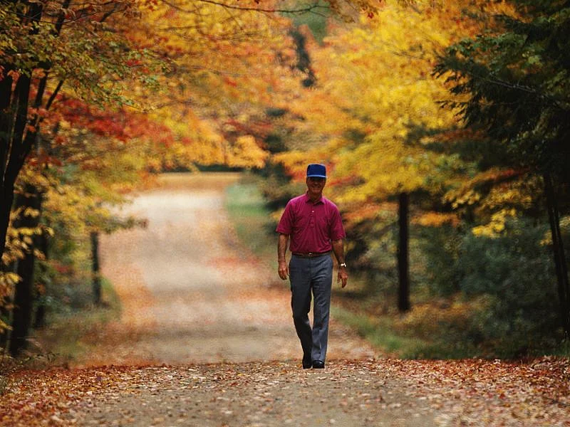 One Reason It's Hotter in Poorer Neighborhoods: Fewer Trees