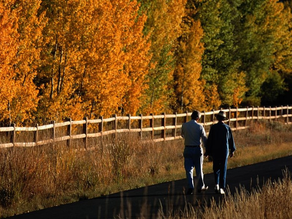 walking exercise