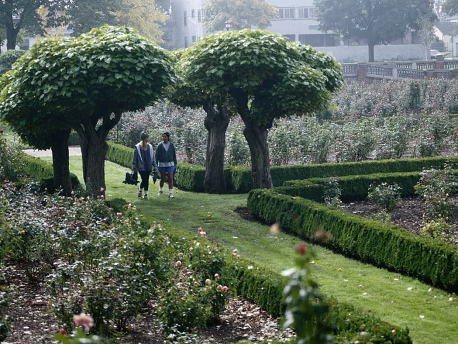 garden