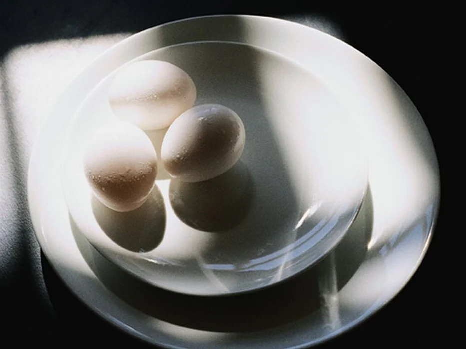 eggs