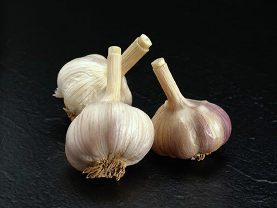 garlic