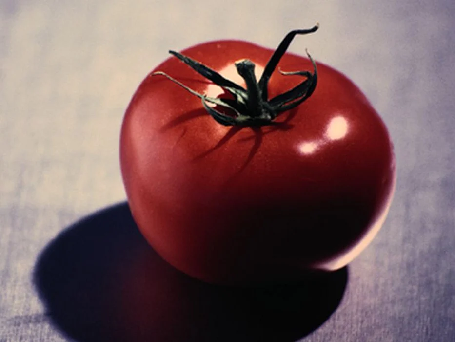 tomato