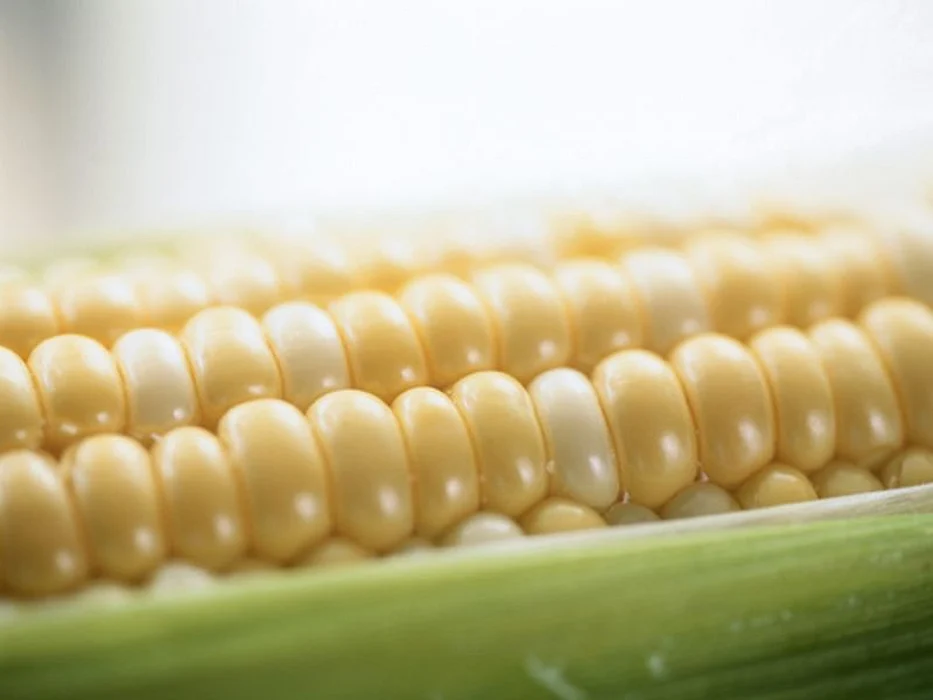 sweet corn