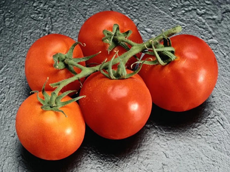 tomatoes