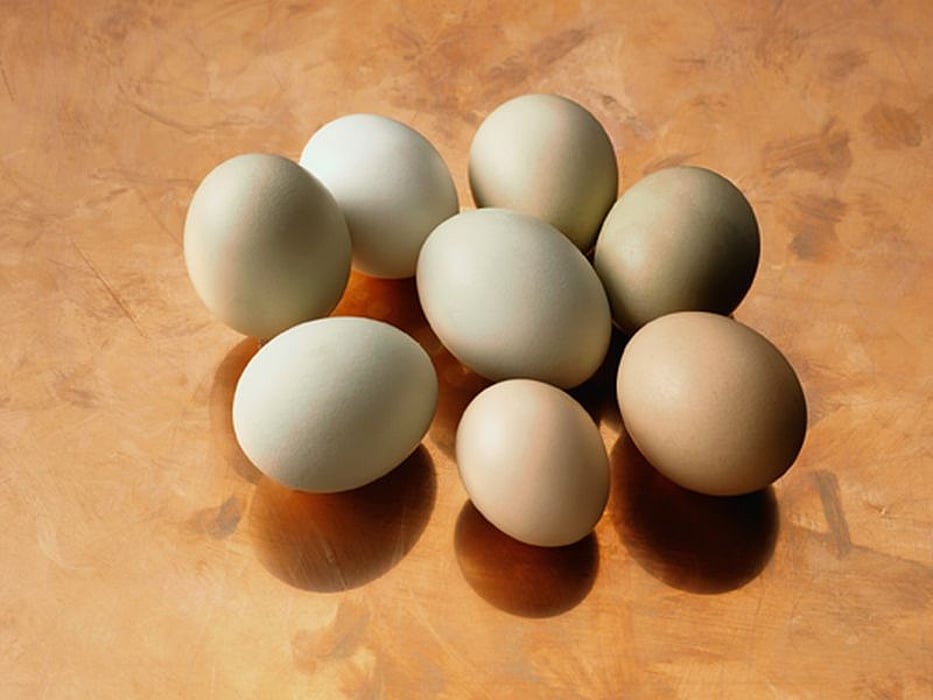 Eggs