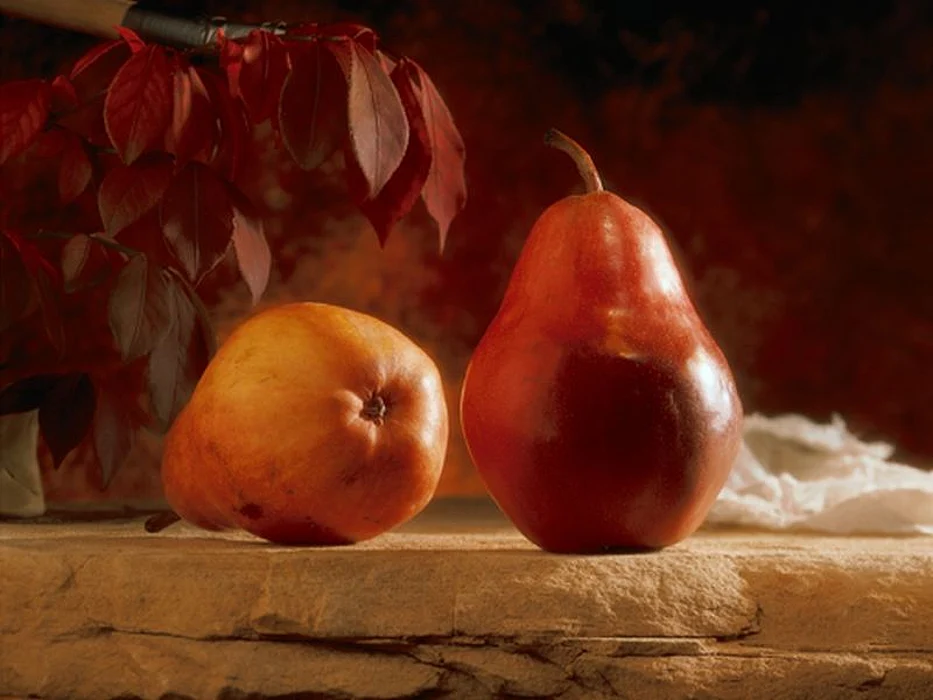 pears