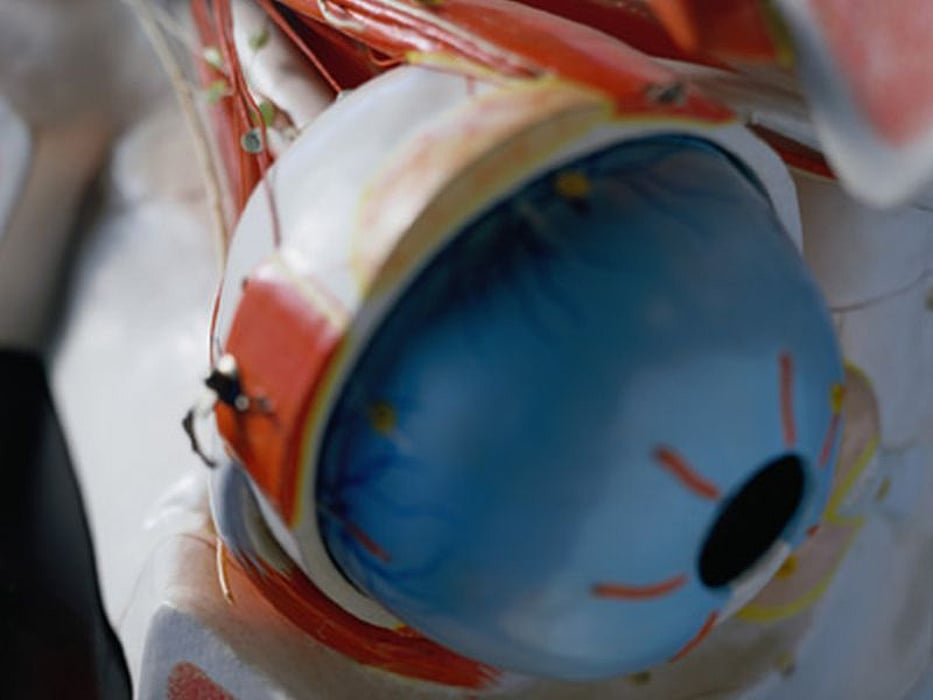 eye model