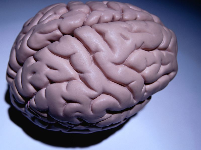 Human 'Brain Cell Atlas' Brings New Insight Into Brain Health, Illness