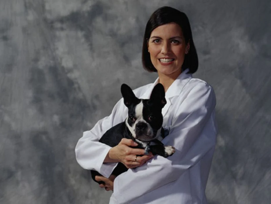 vet with dog
