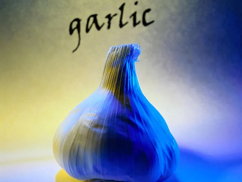 garlic