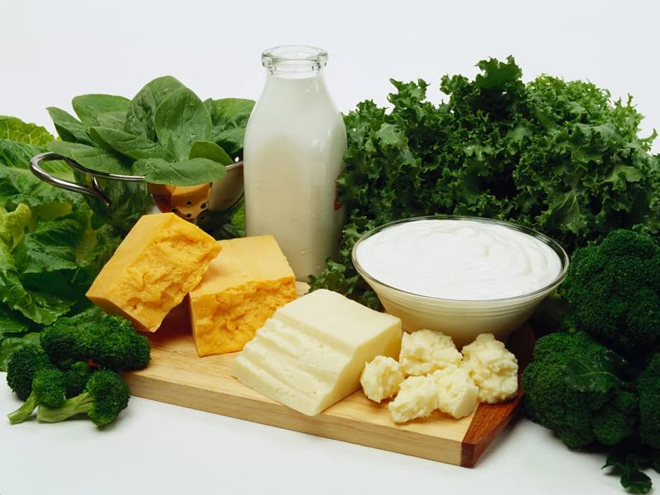 dairy products