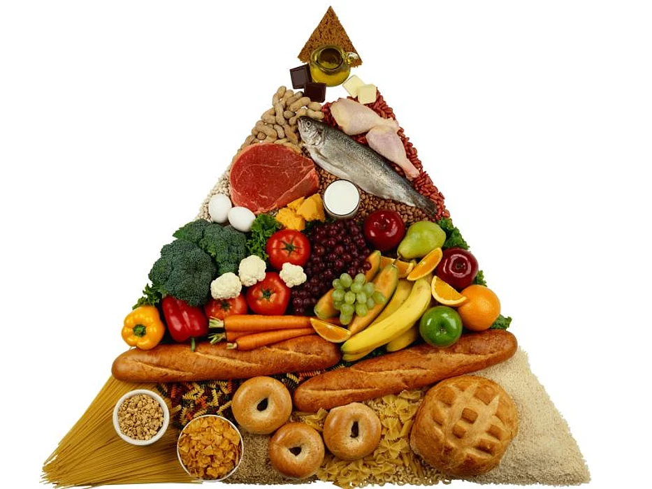 food pyramid