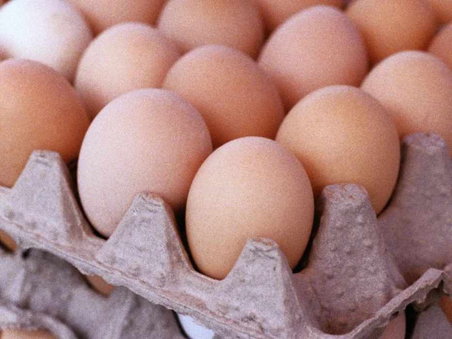 eggs