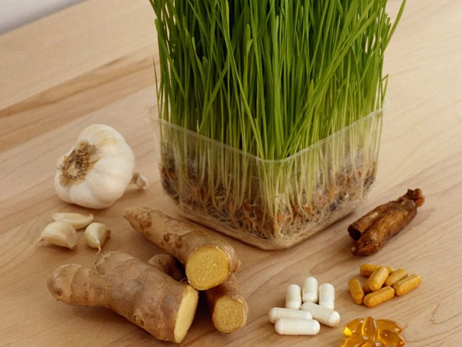 herbs