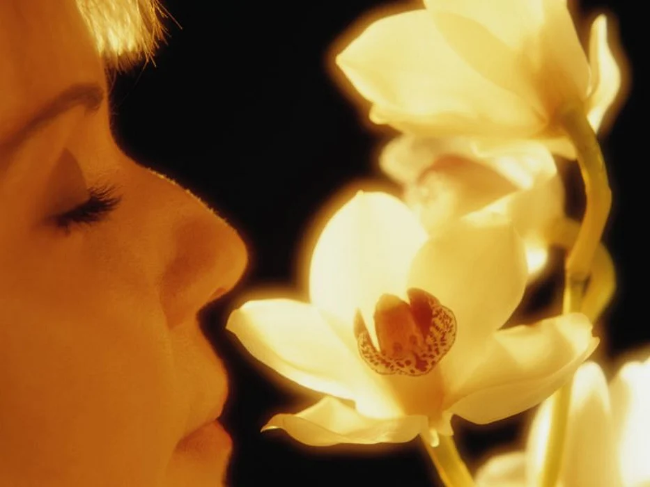 woman smelling flower