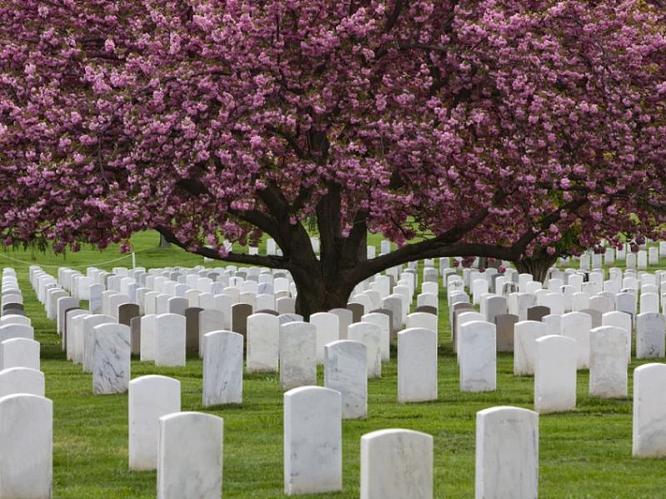 cemetery tombstones