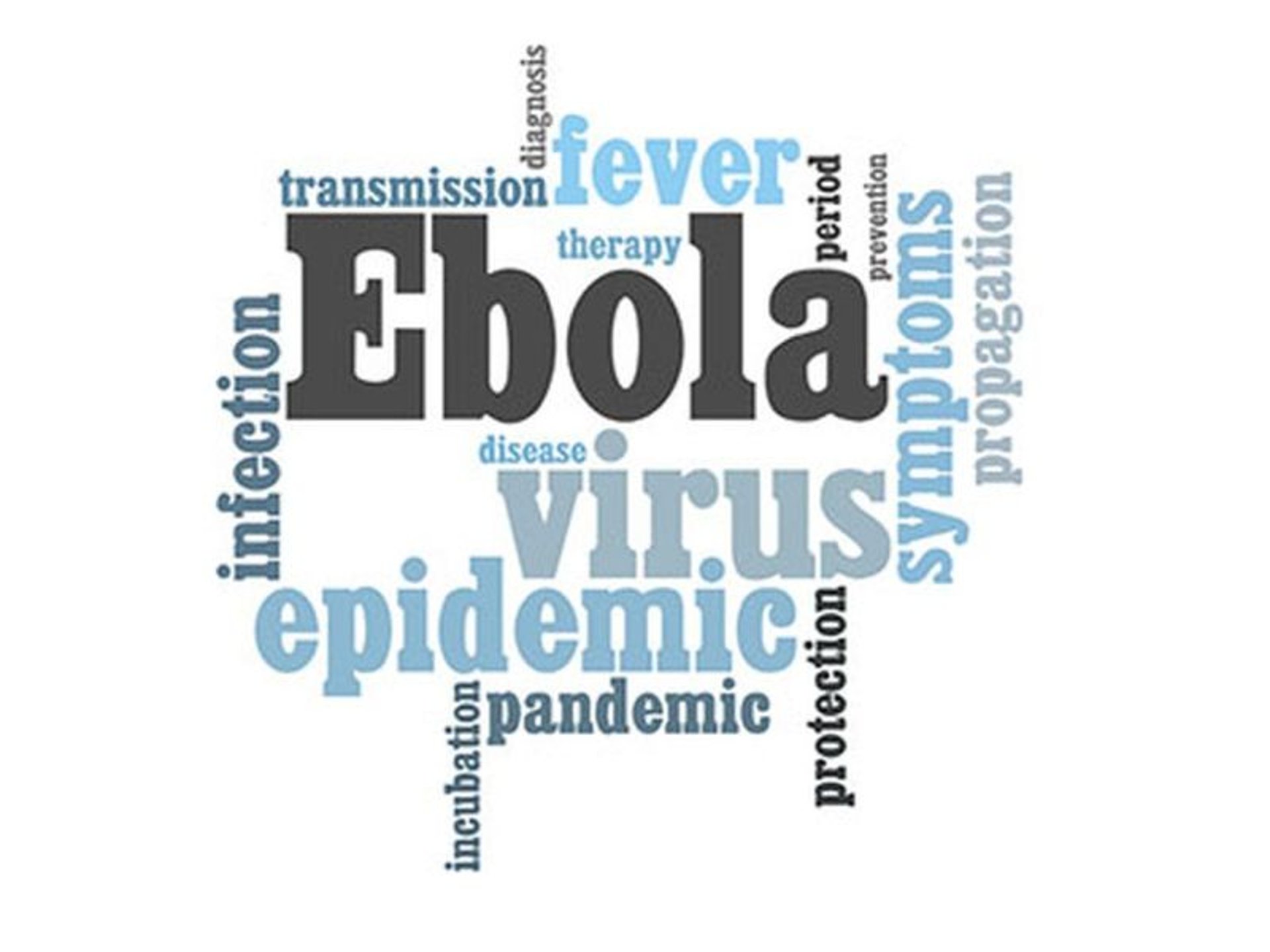 Ebola Virus Spread Greater Than Thought thumbnail