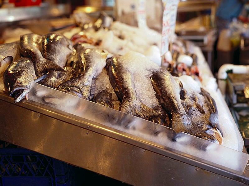 Can Eating Fish Make Kids Smarter Consumer Health News Healthday