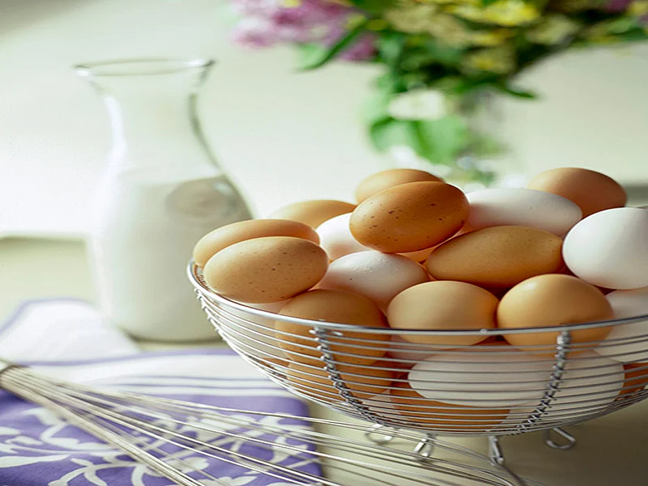eggs