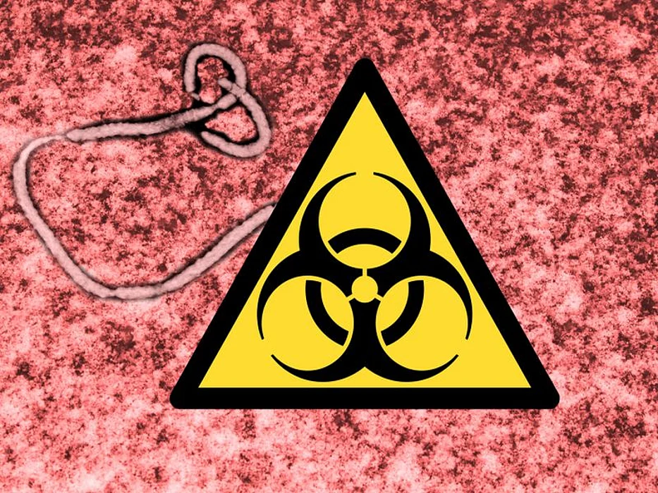 ebola virus hazard