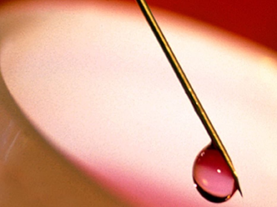 needle with a drop at the end