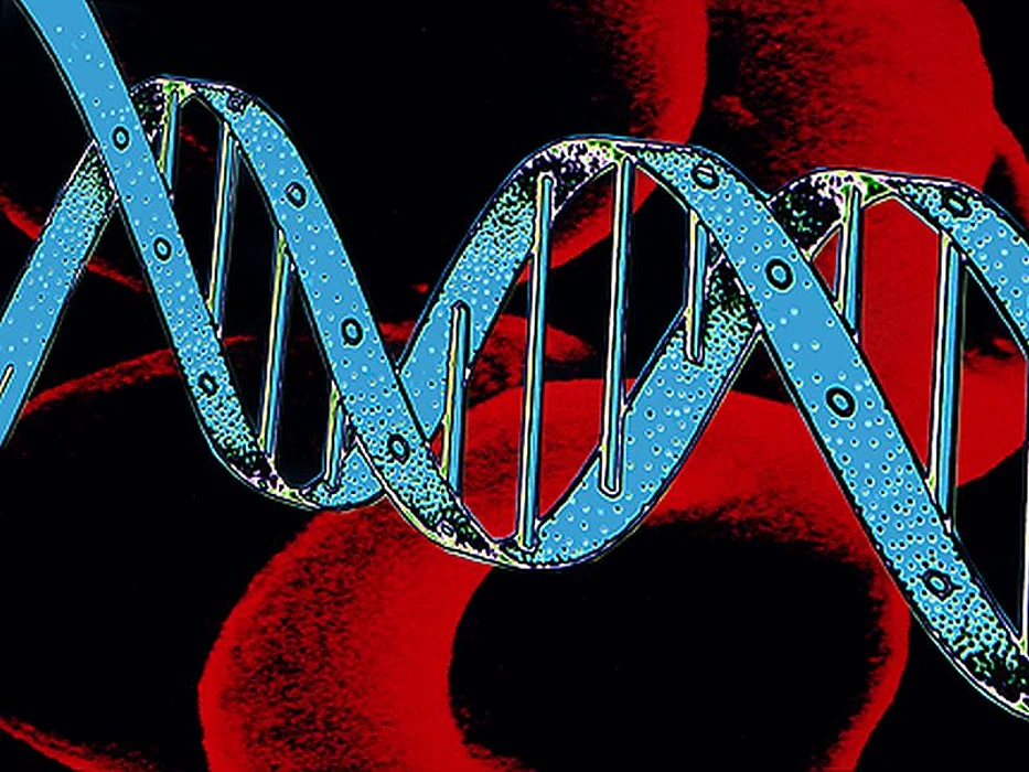 genetic helix