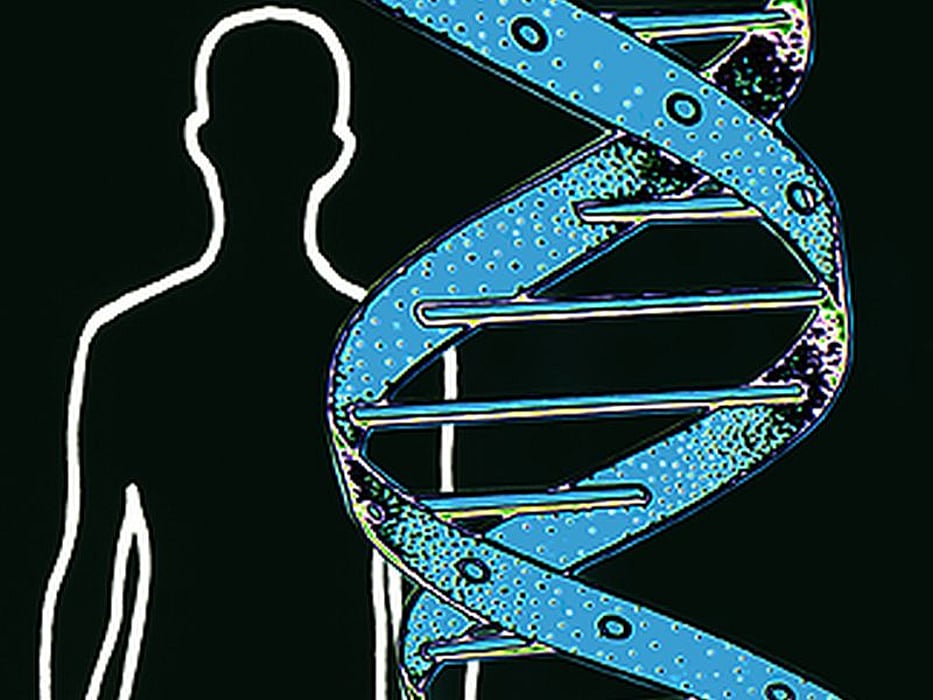 genetic helix