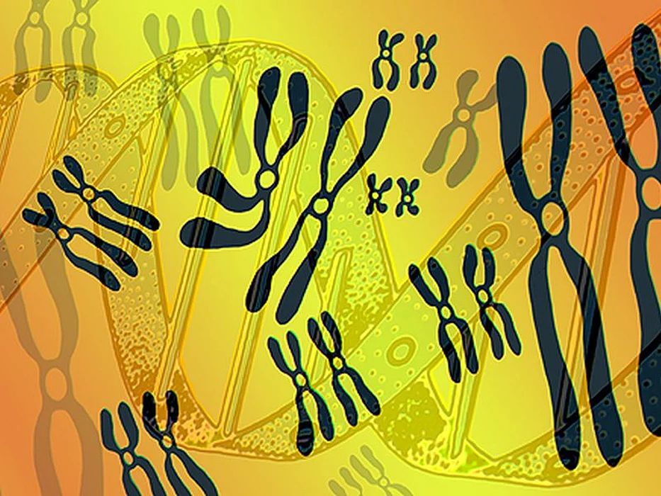 genetic helix