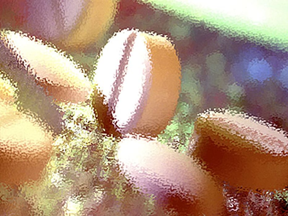 pills