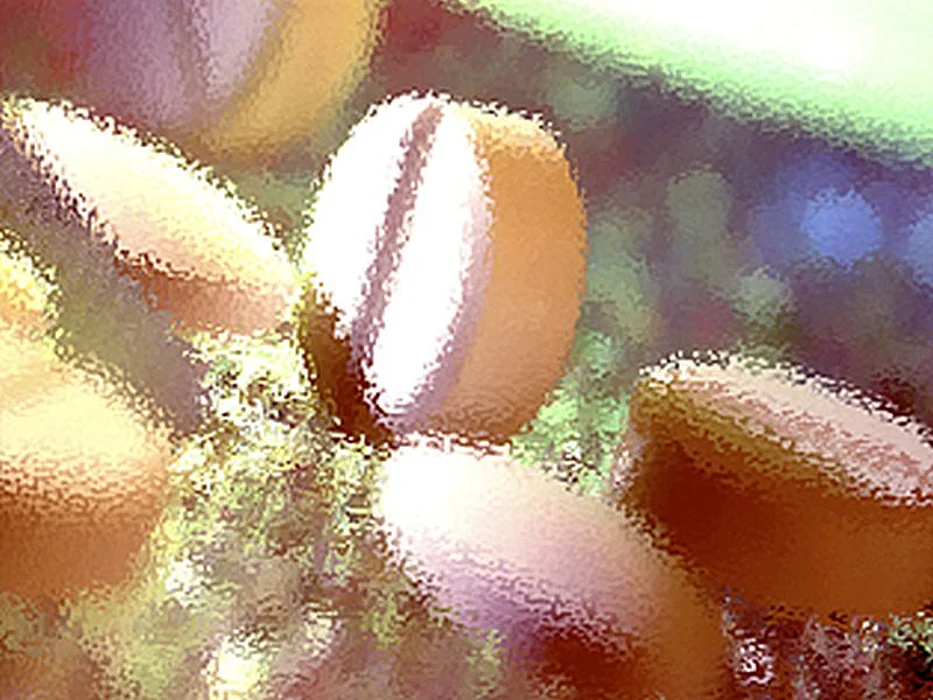pills