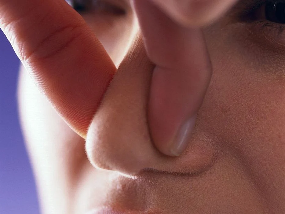 nose