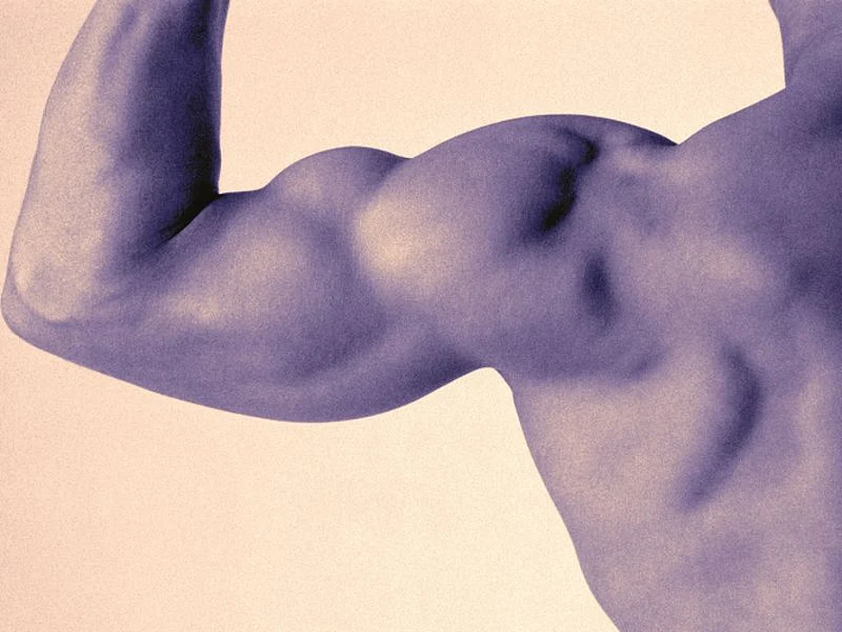 man\'s muscles