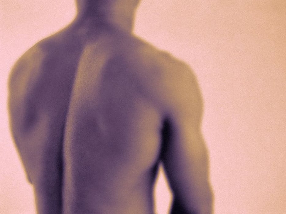 human spine