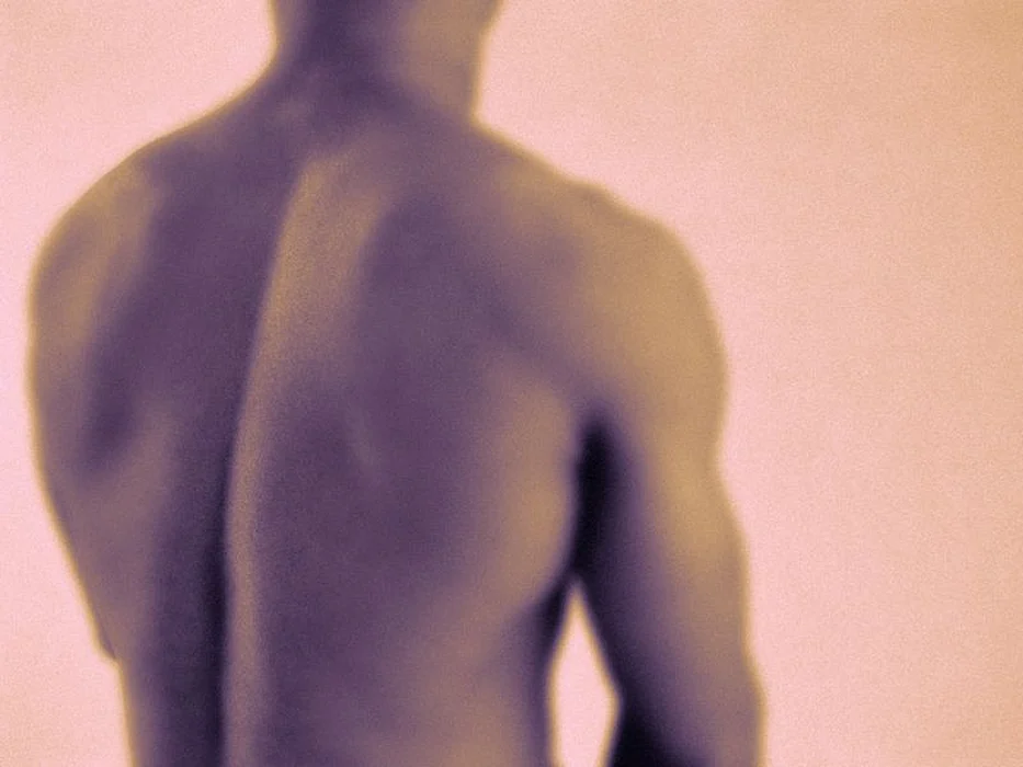 human spine
