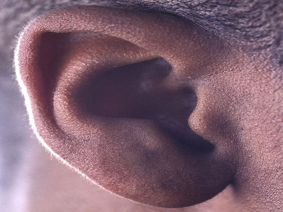 ear