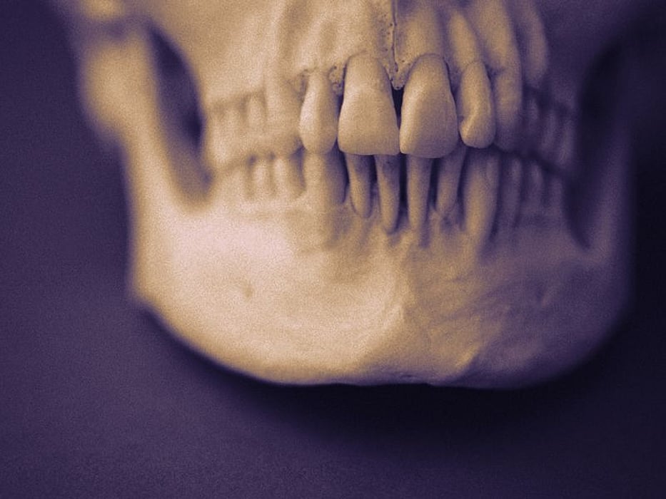 teeth