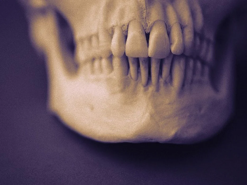 teeth