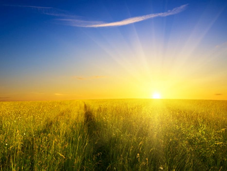 summer sun