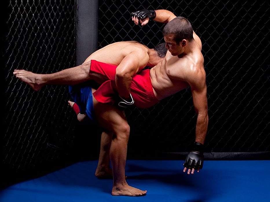 mixed martial arts